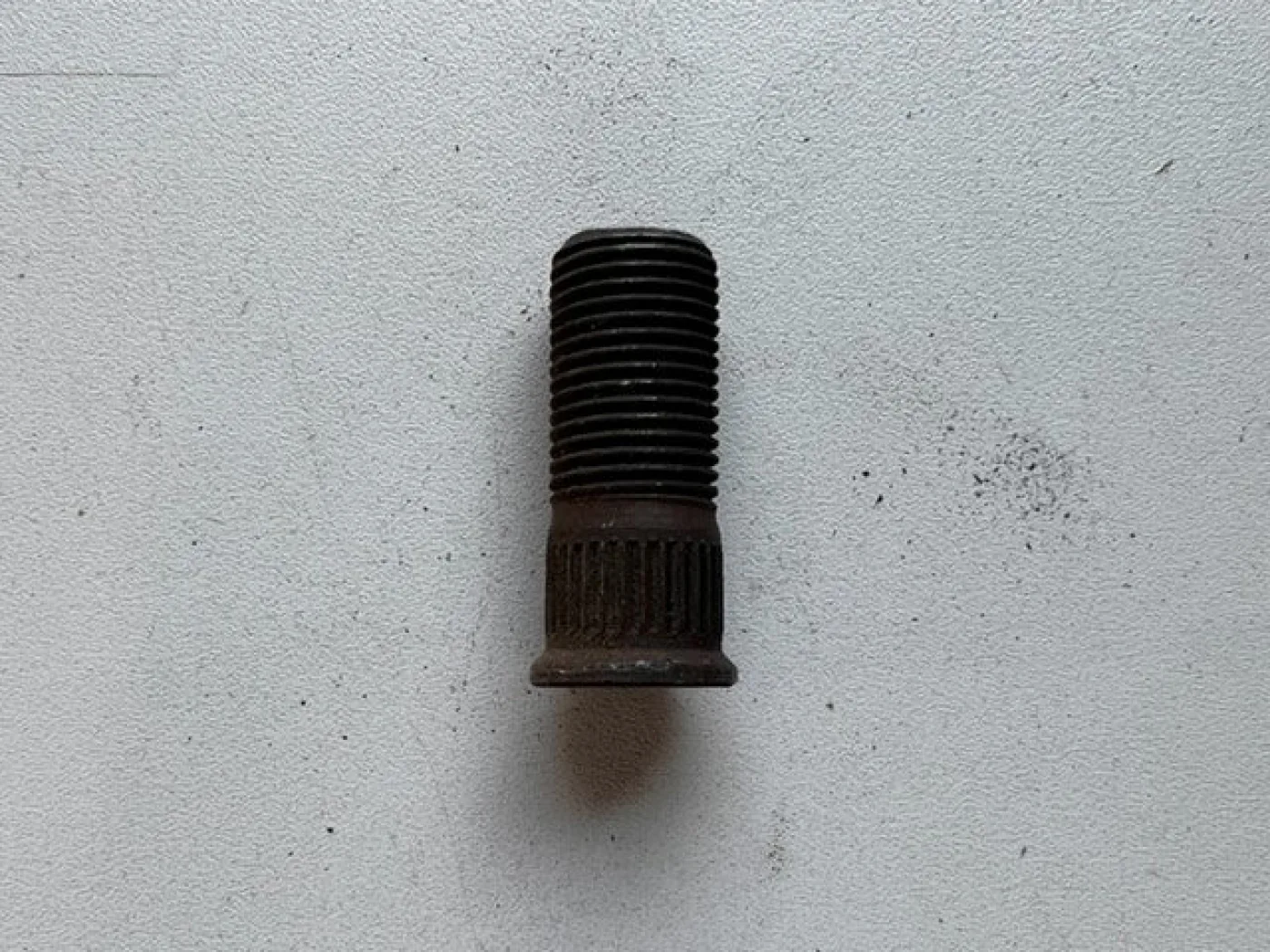 Wielbout 16MM - 3