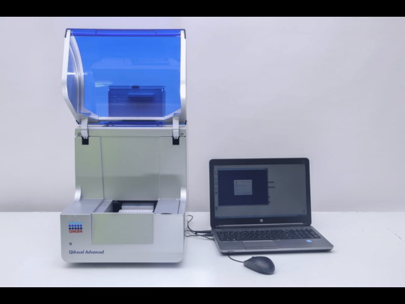 Qiagen Qiaxcel Advanced Capillary Electrophoresis