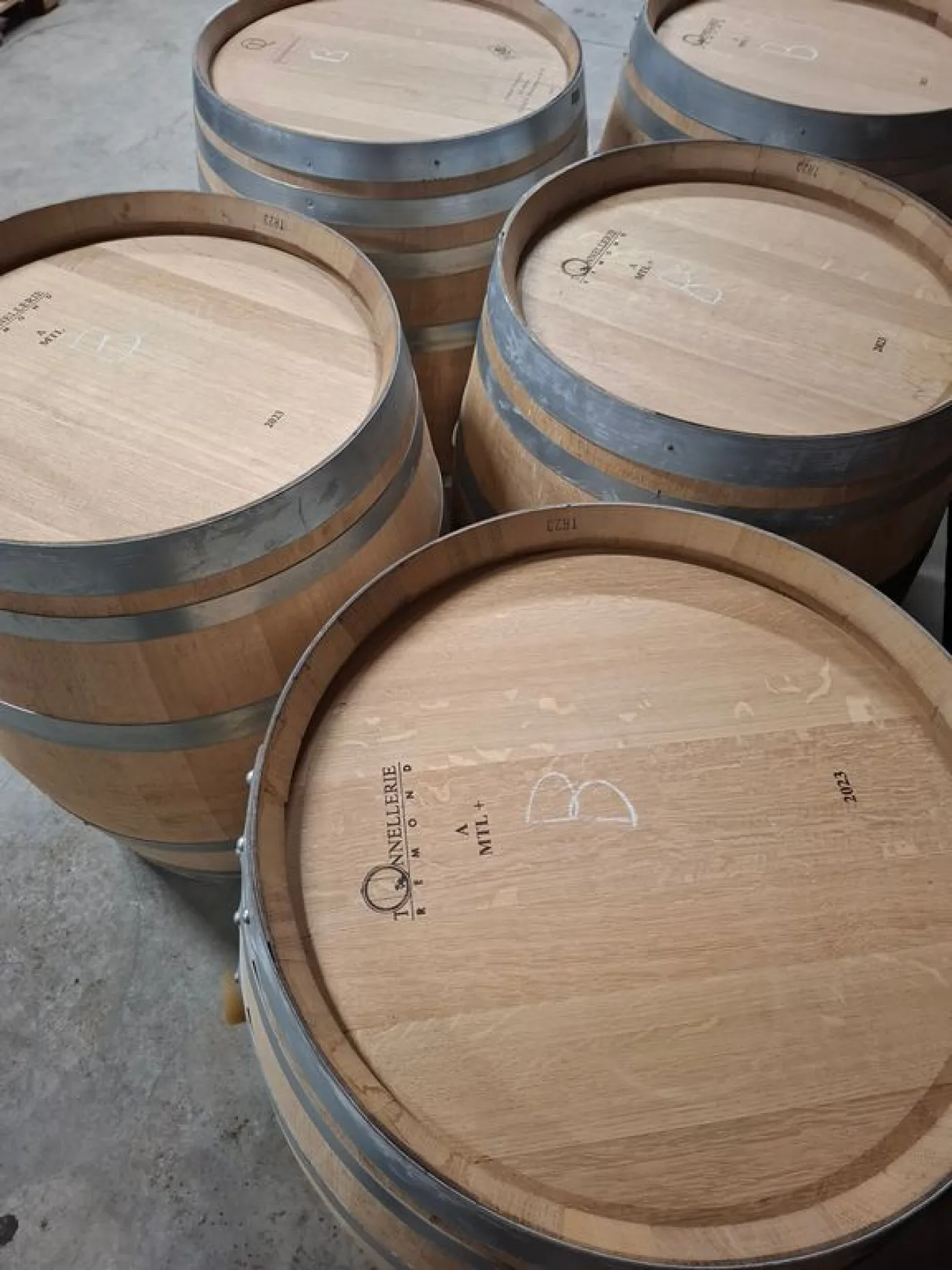 BARRELS LITERS 228, WHITE WINE OF FIRST-USE, SECOND-HAND EQUIPMENT - 3