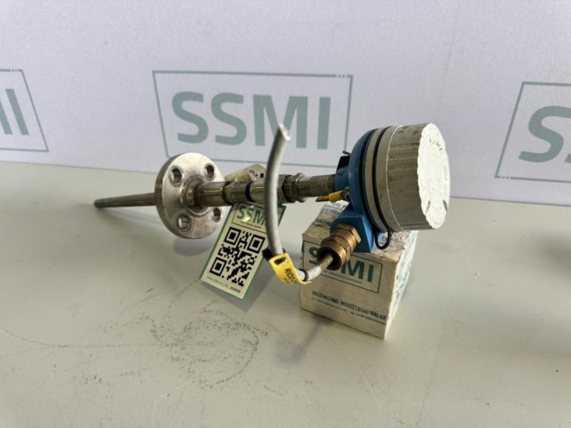 2023 Endress+Hauser Temperature transmitter / RTD thermometer