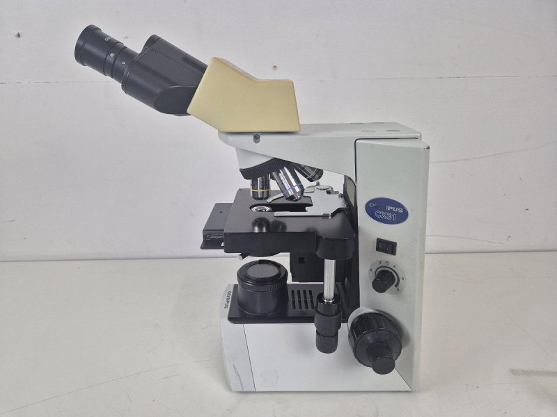 Olympus CX31RBSF Microscope