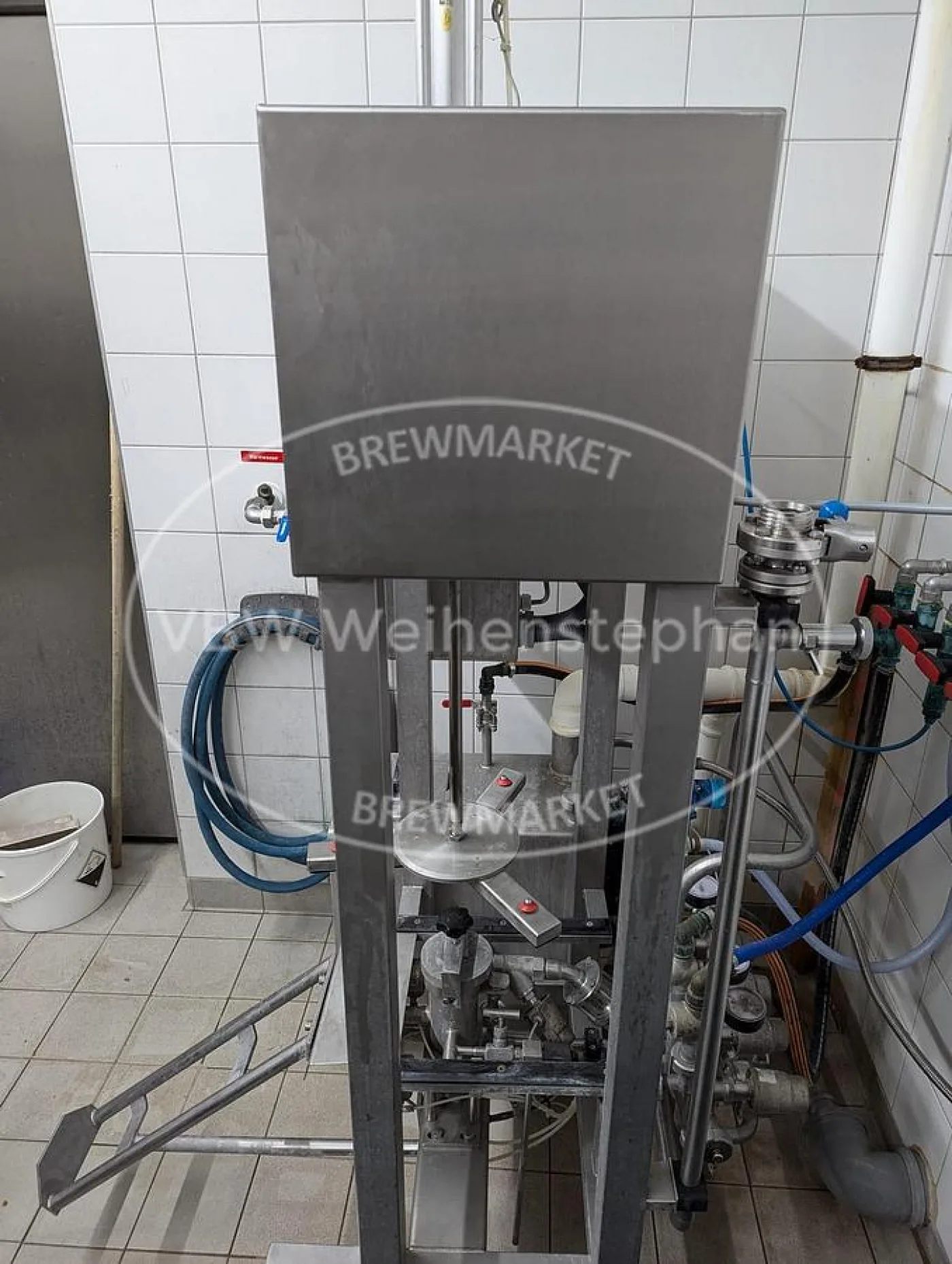 KEG-plant - 2