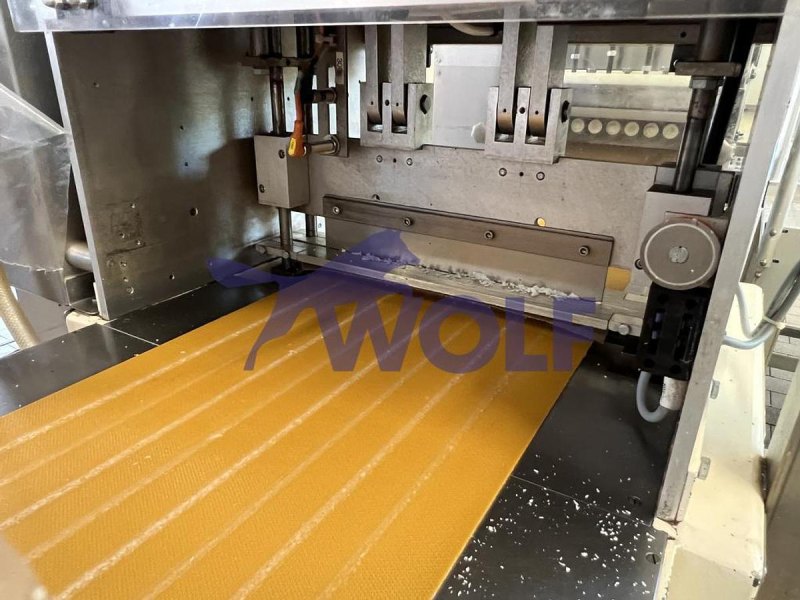 Doppelkopfextruder HOPPE - Type KES-350 für 8 Stränge auf 350 mm Bandbreite.