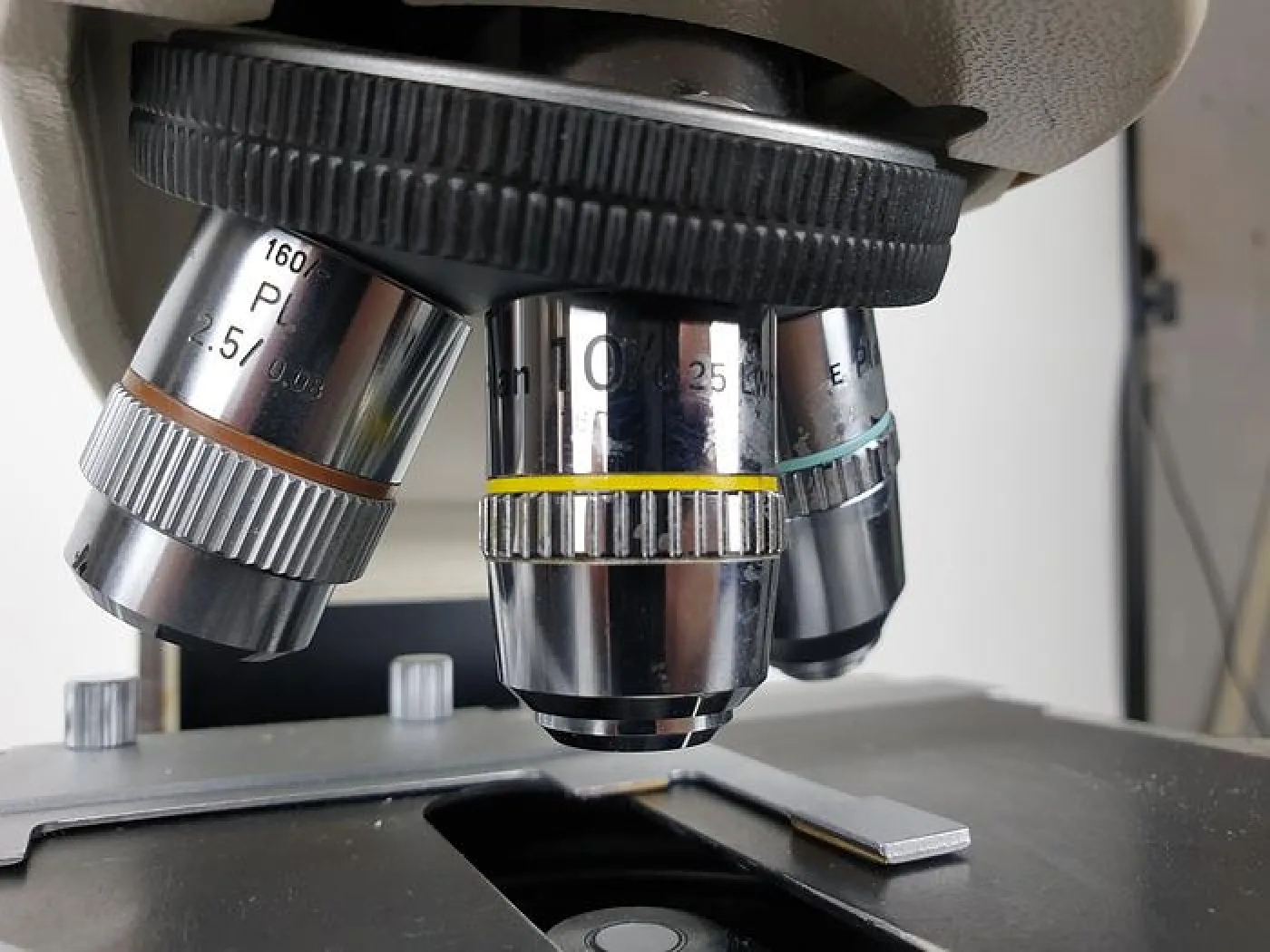 Nikon Labophot-2 Microscope - 1