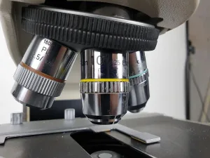 Nikon Labophot-2 Microscope