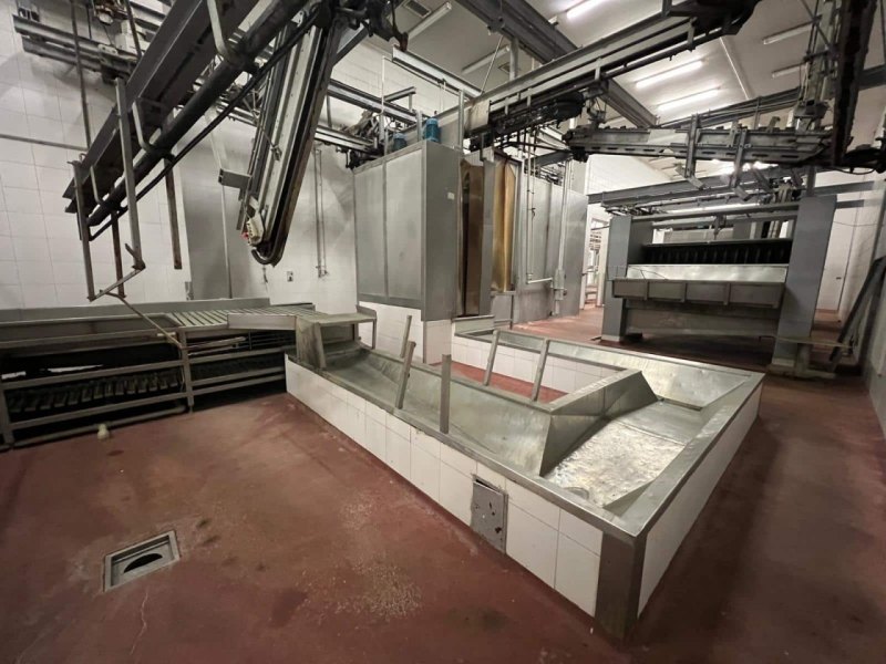 Pig Slaughter Line, GEDE Schlachttechnik, 60 pph