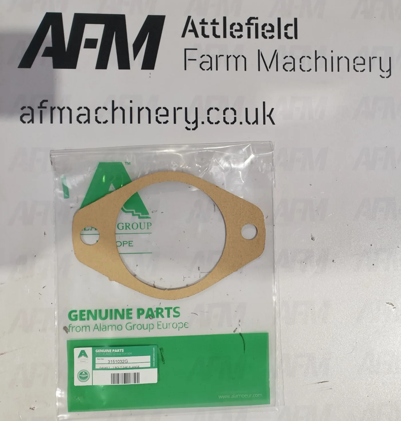 Spearhead Hydraulic Pump Gasket - 3151032G - 1