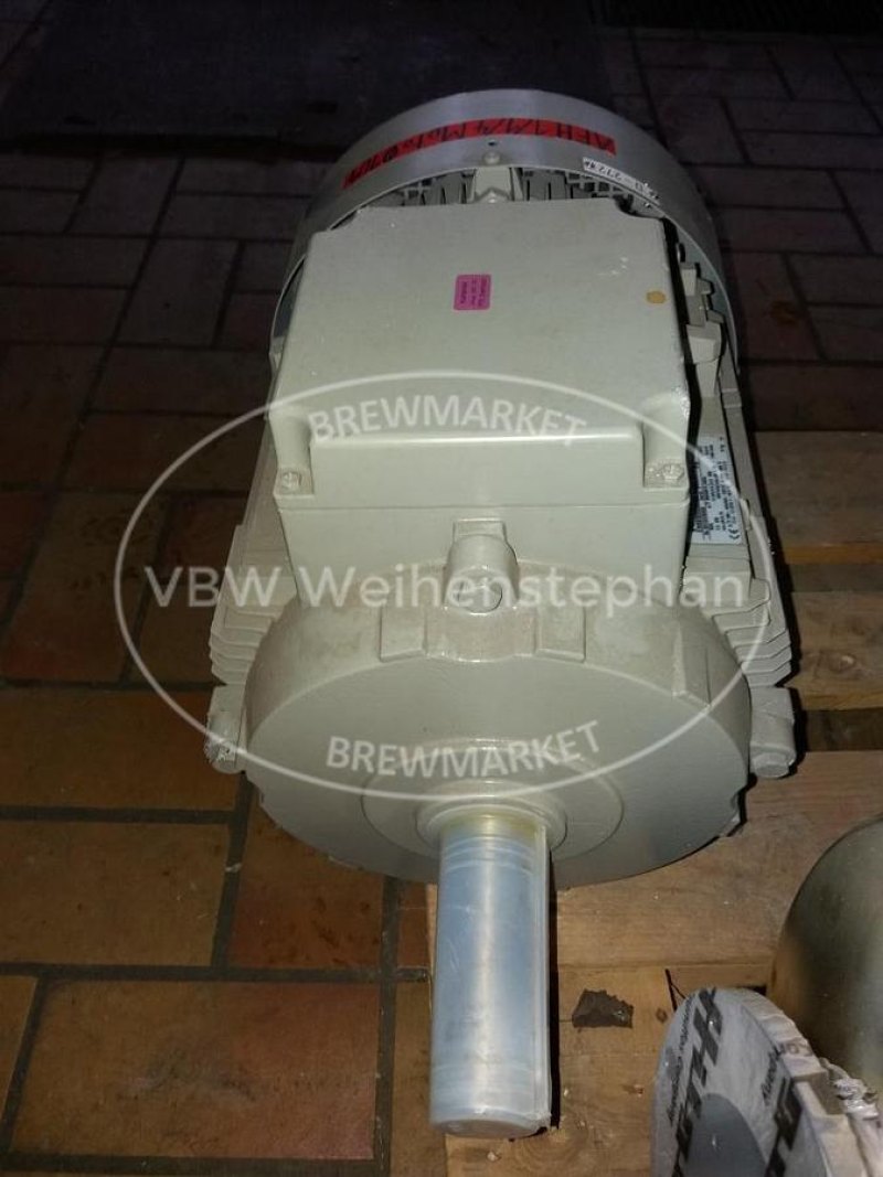 Gear motor