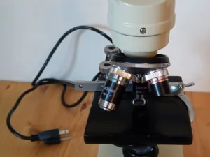 Ward Microscoop