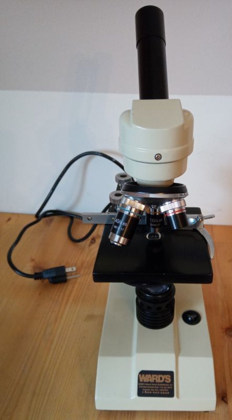 Ward Microscoop