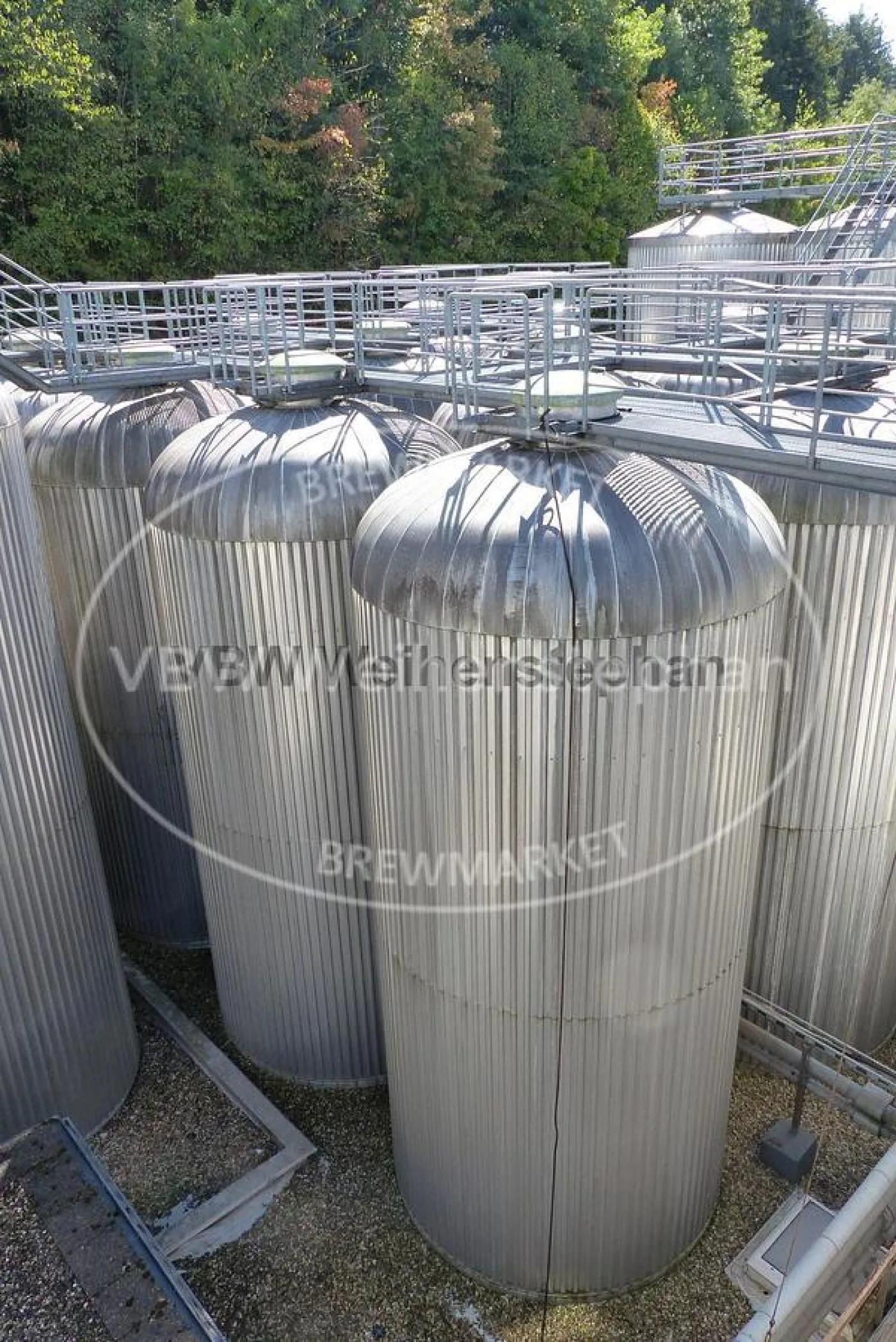 Cylindro-conical fermentation and storage tank (CCTs, 6 tanks) - 7