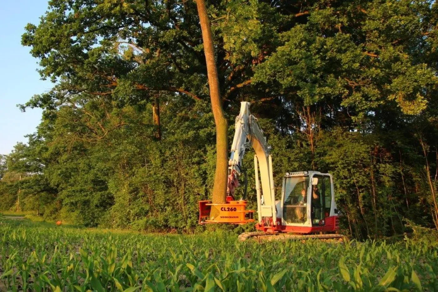 Westtech - Woodcracker CL 260 - 4