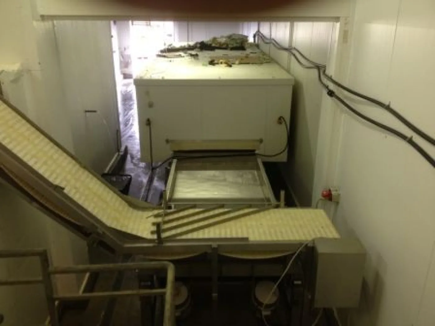 Torry Continuous IQF Belt Freezer - 2