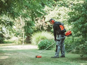 Echo 50v trimmer incl 2Ah accu & snellader.