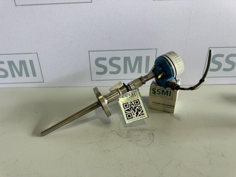 2023 Endress+Hauser Temperature transmitter / RTD thermometer
