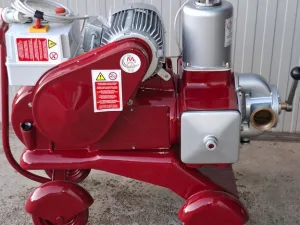 PISTON PUMP MANZINI MOD.300HL, TWIN-CYLINDER, BRONZE BODY PUMP, SECOND-HAND MACHINE