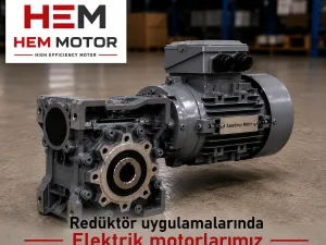 Electric Motors for Gear Reducers