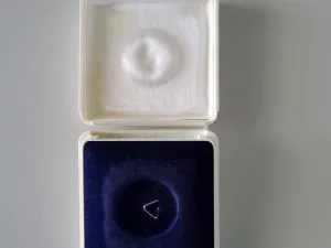 Mettler Toledo 100mg - E2 (15836)