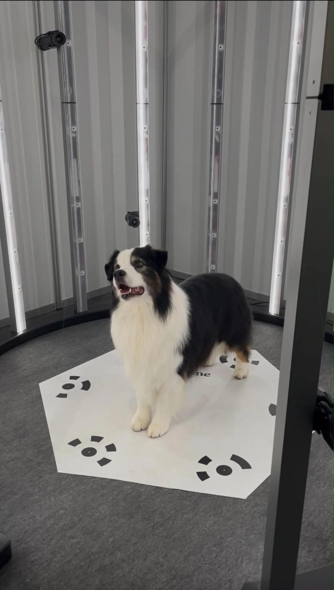 3DFascination / Osensus – 3DF Body Scanner 3 Circular Pro - 1