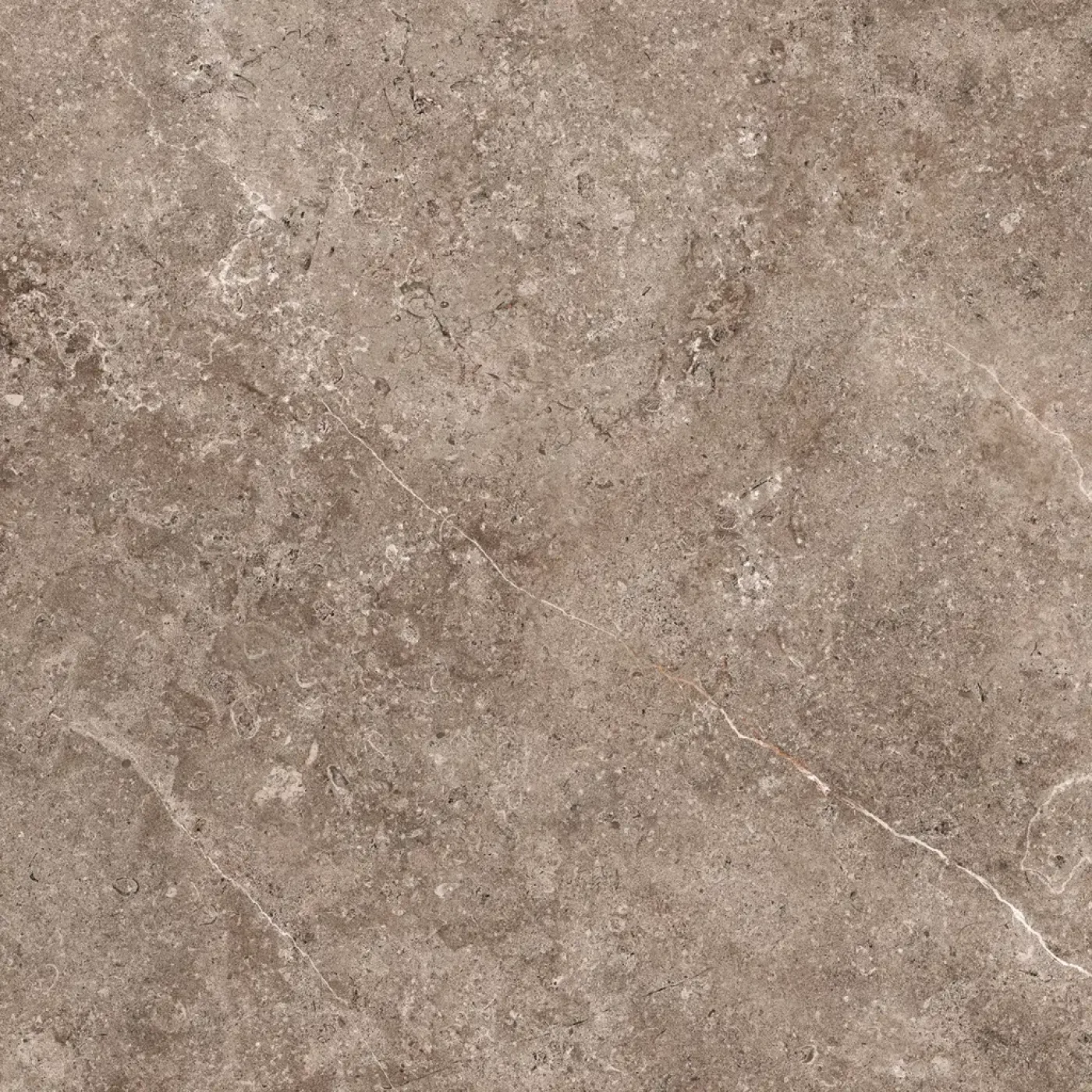 GeoCeramica® Landstone Earth - 1