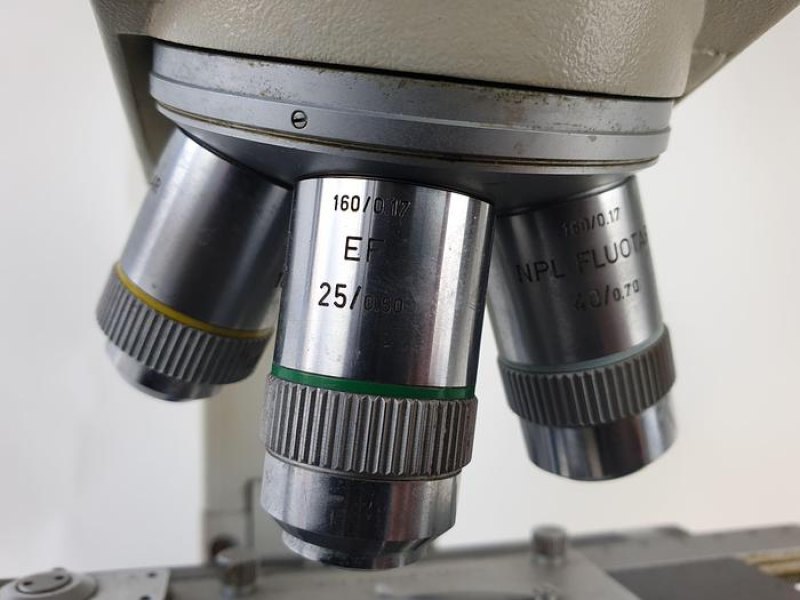 Leitz 020-435.028 Microscope Microscope