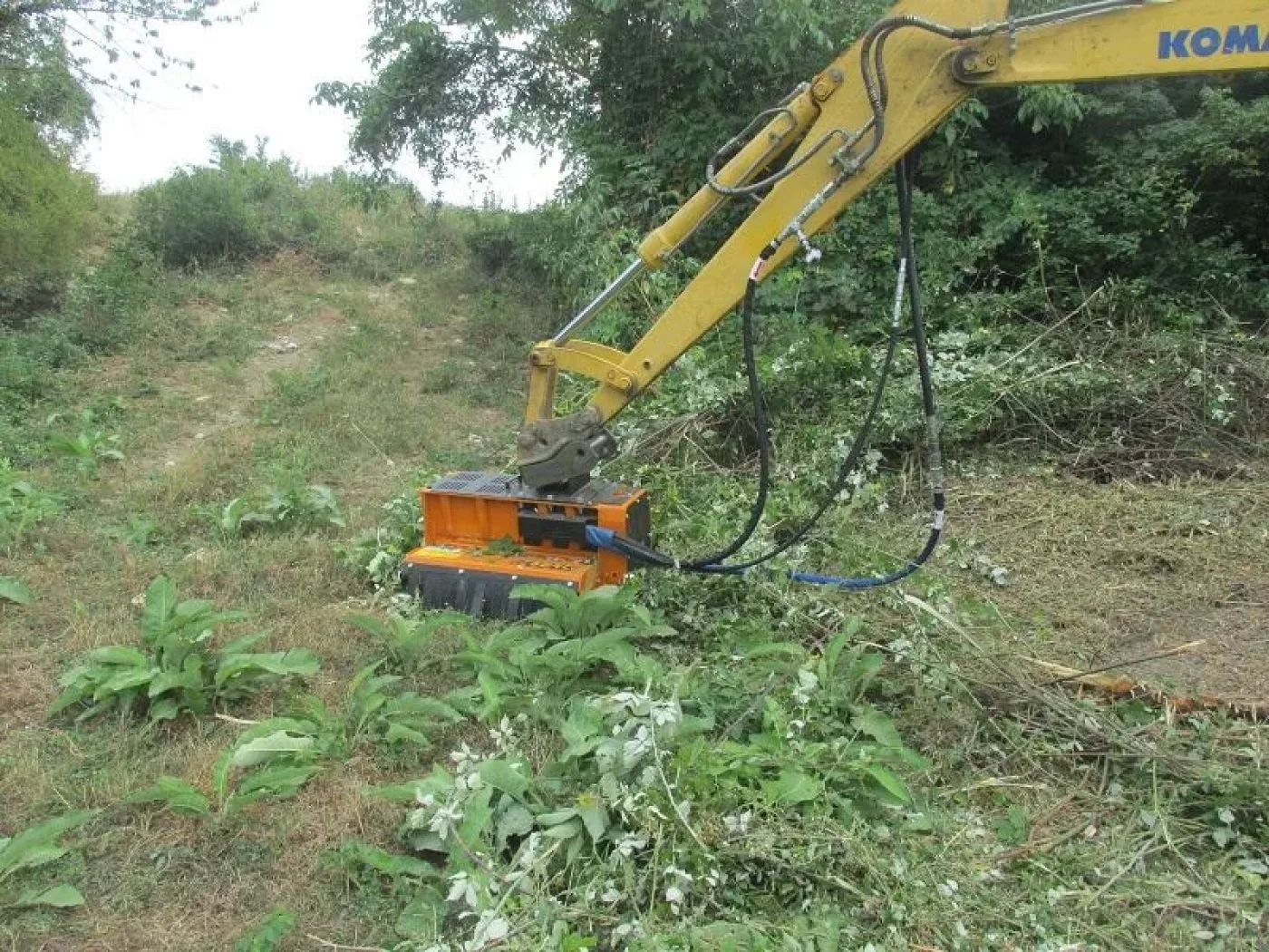 Berti - PARK / FX 100 - 2