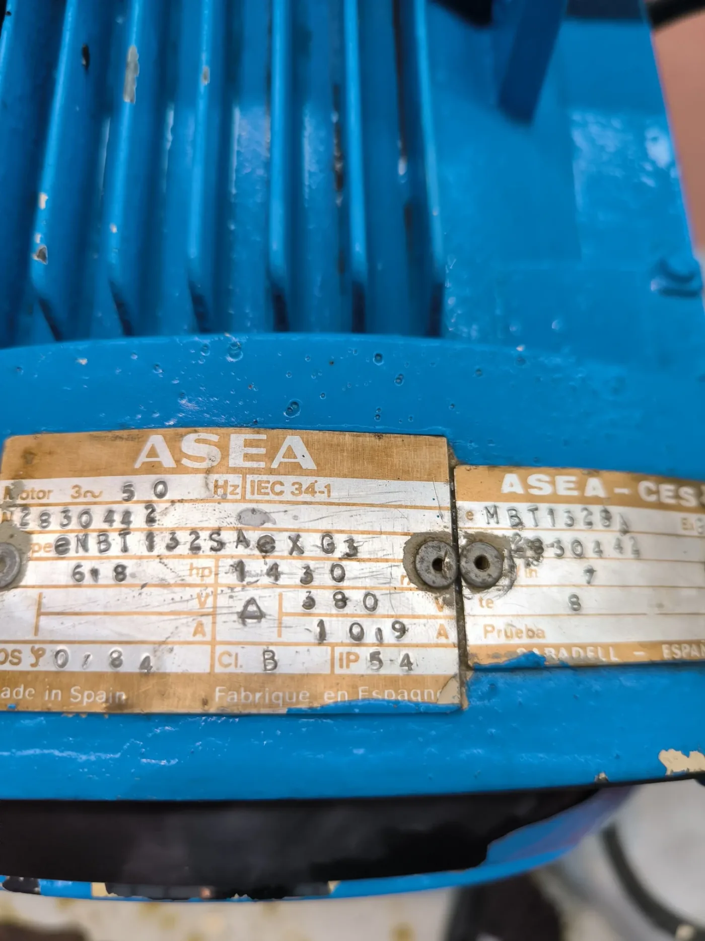 FITZ MILL OSCILLATING HAMMER MILL MODEL D - 4