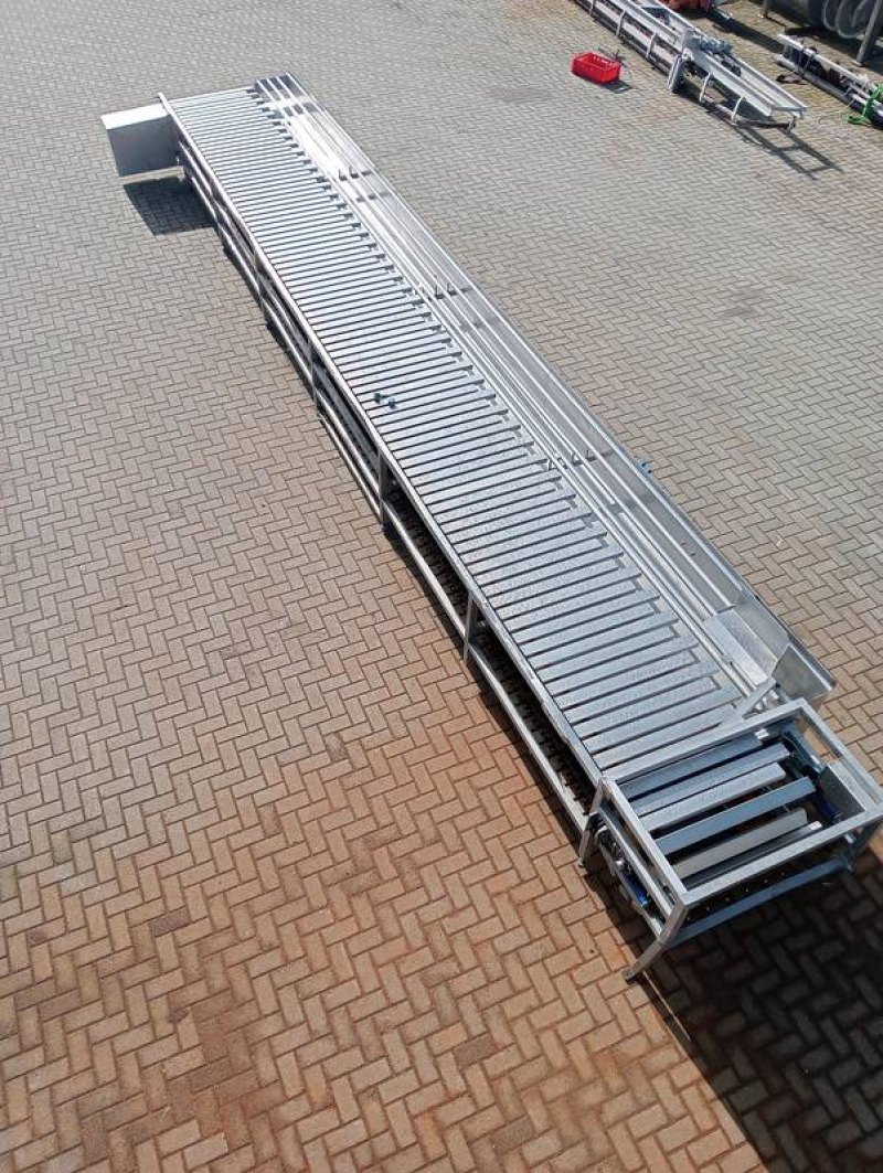 Bleeding table conveyor