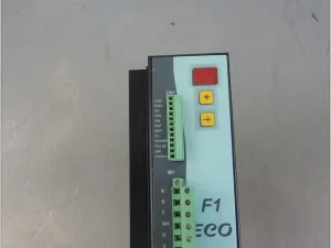 2002 SELEMA 09 F1 ECO D0615 AI1520