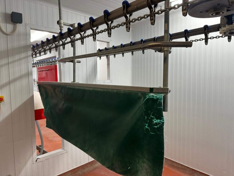 Poultry line, Bayle, 1.500 bph