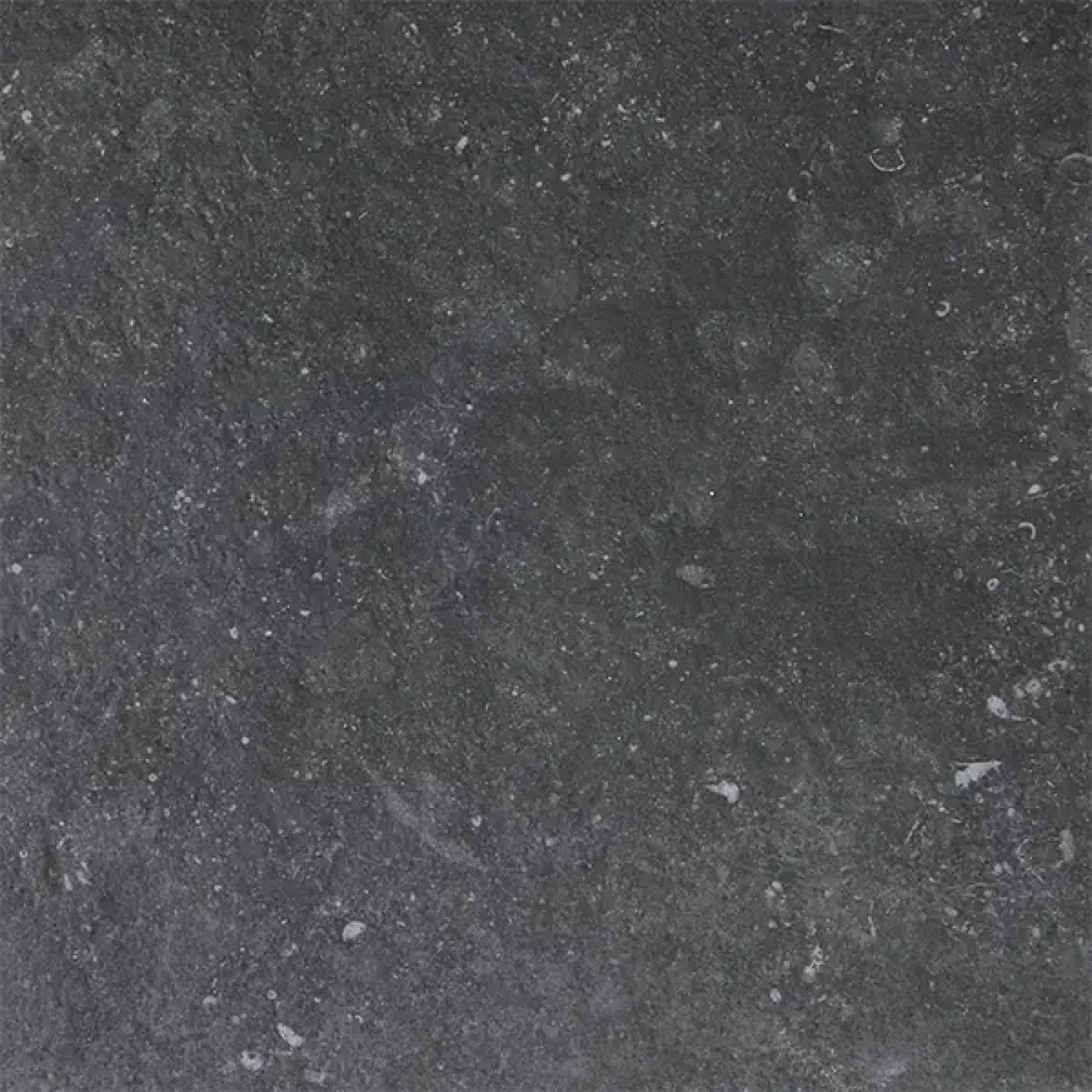 Bluewater 20MM Antra tegel 50x100x2 cm. - 1