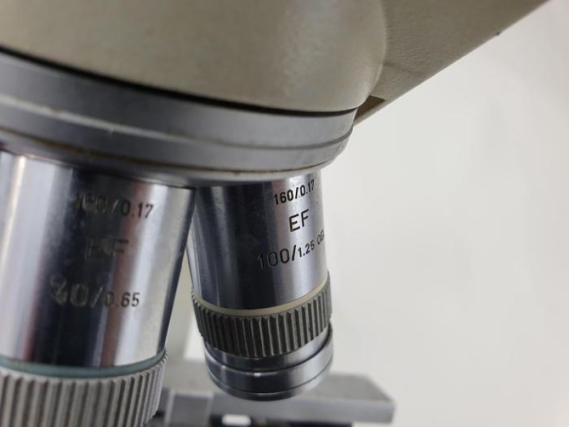 Ernst Leitz Wetzlar Laborlux 11 Microscope Microscope