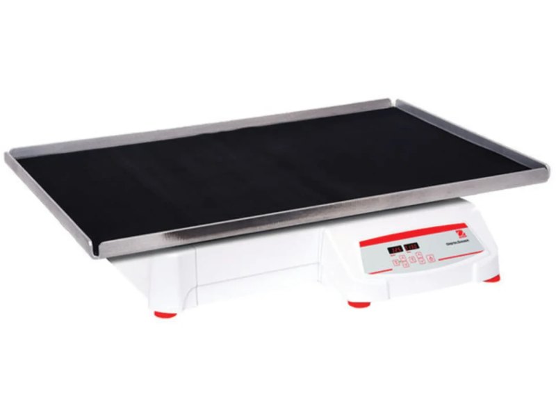 Ohaus High Capacity Orbital Shaker 51mm | SHHD6850DG