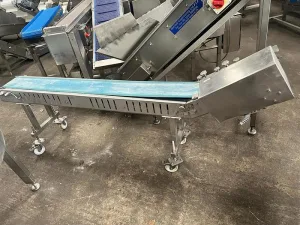 End Incline Conveyor