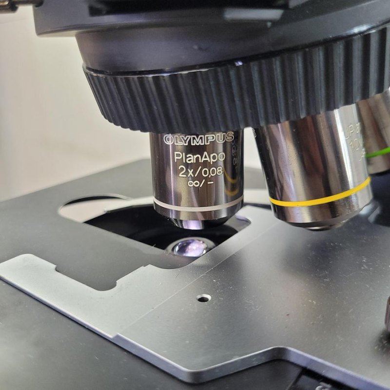 Olympus BX51TF Microscope