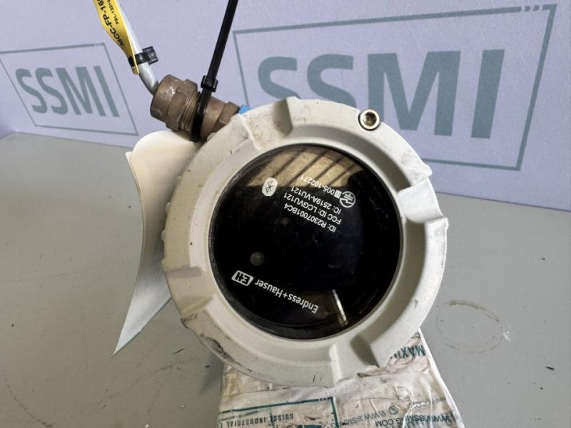 2020 Endress+Hauser Vibrating fork level switch