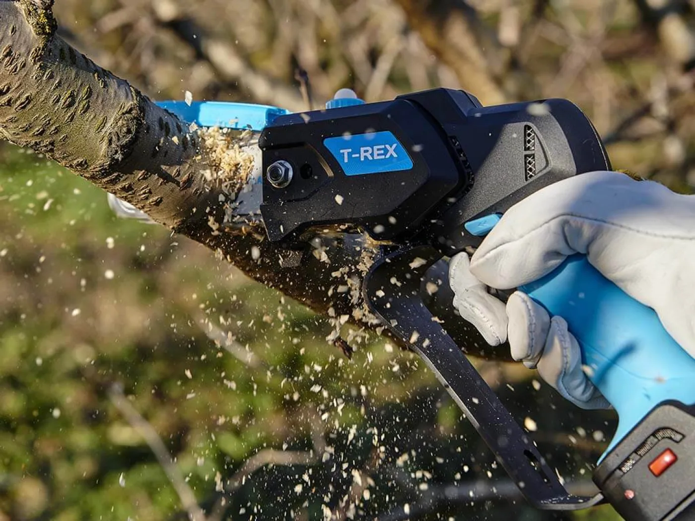 Campagnola snoeizaag T-Rex, accu 21.6 Volt - 3
