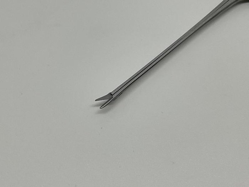 GB Medical Bellucci Ear