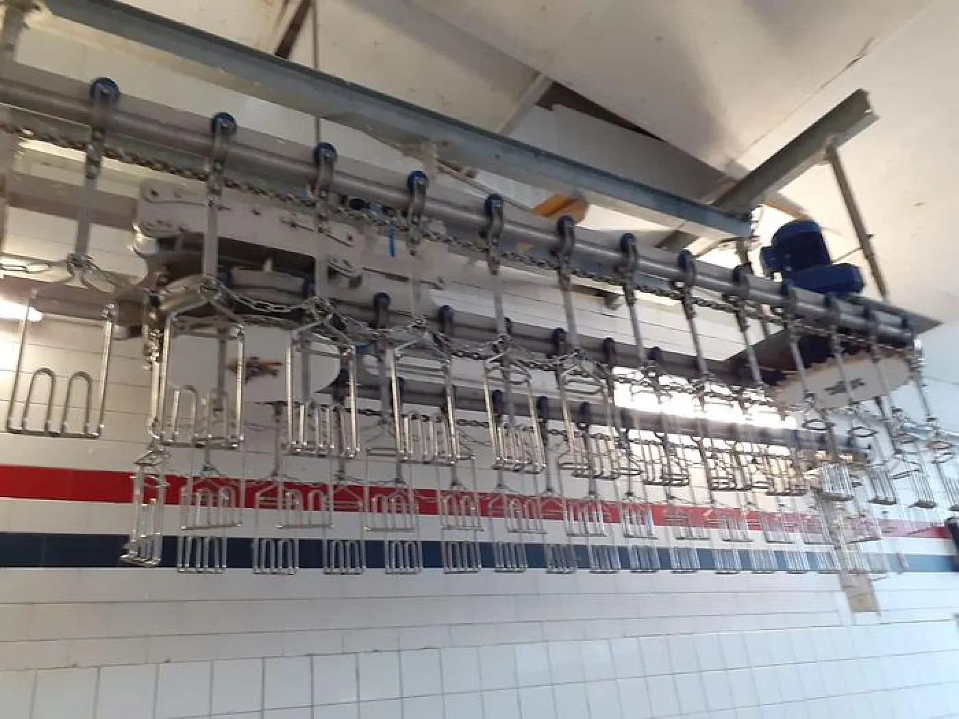 Poultry slaughter line, 3.000 bph - 5