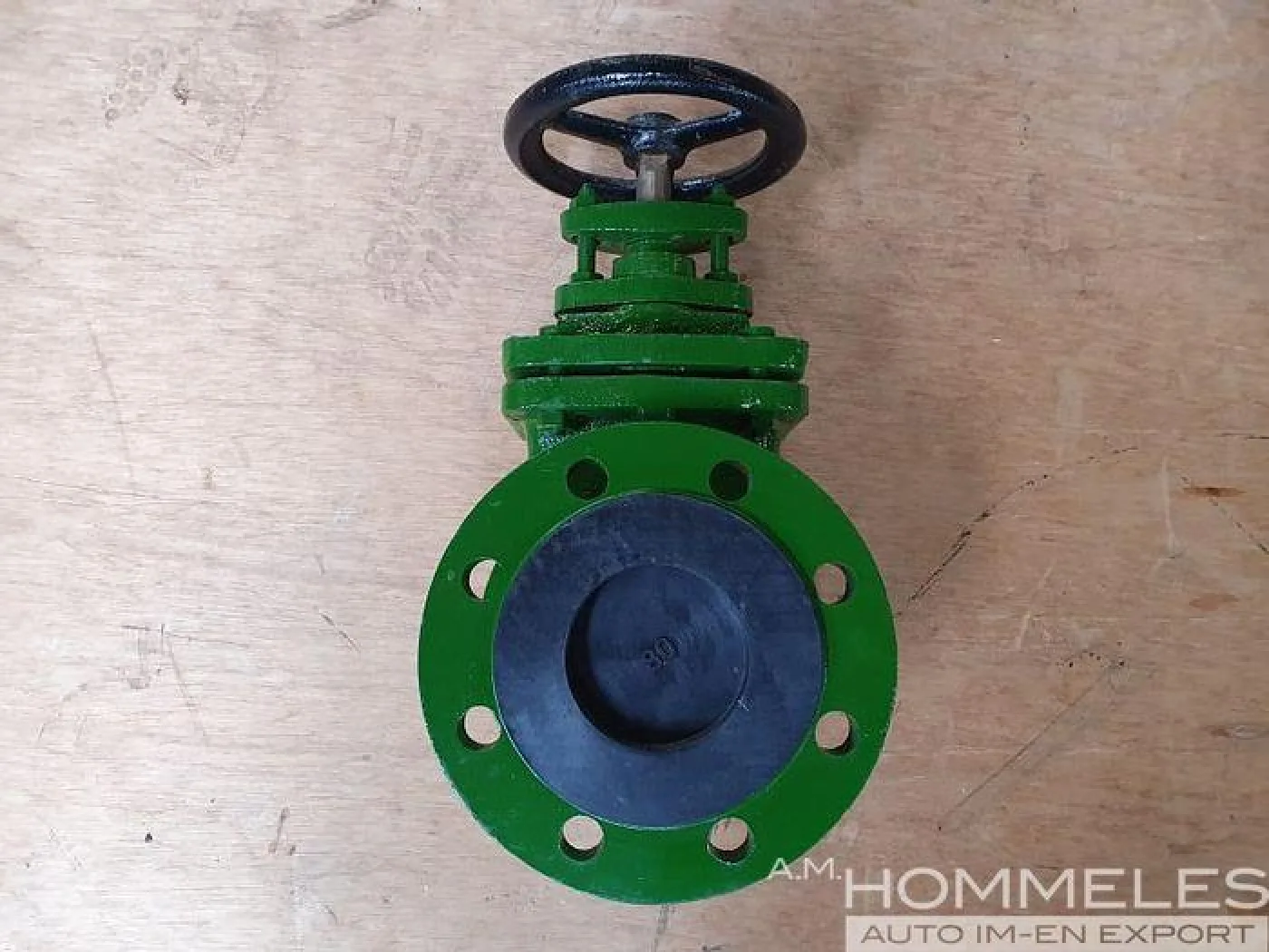Dikkan gate valve - 2