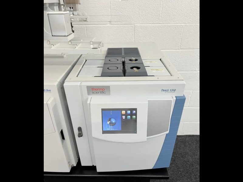 Thermo Trace 1310 & TSQ Duo GC-MS/MS System