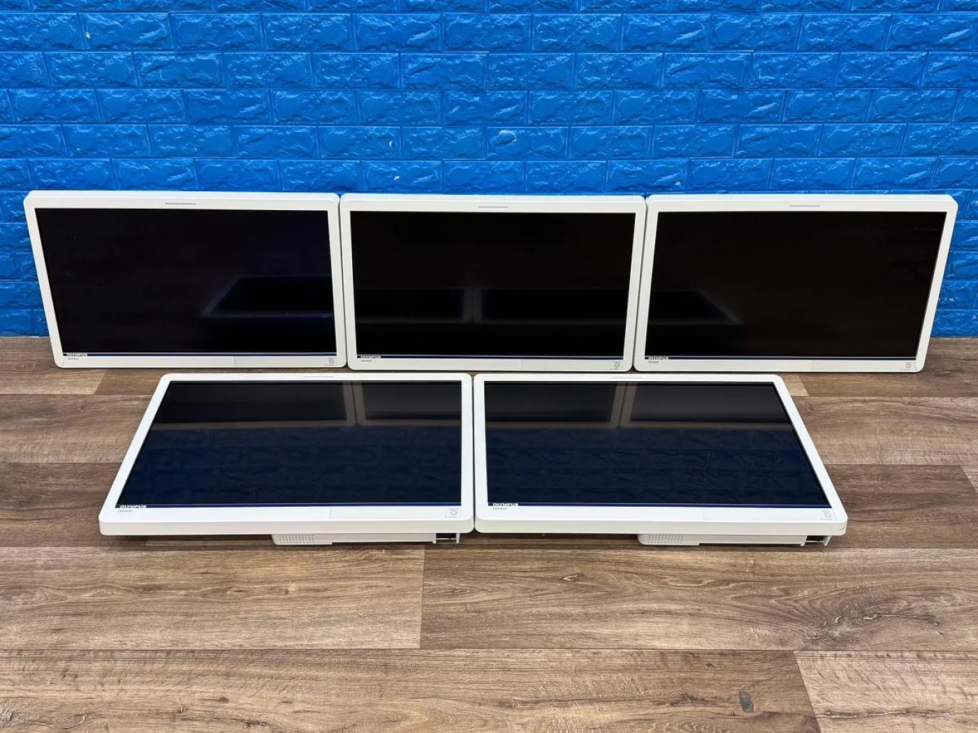 Olympus OEV262H LCD Monitor - 1