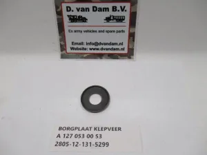 Borgplaat klepveer