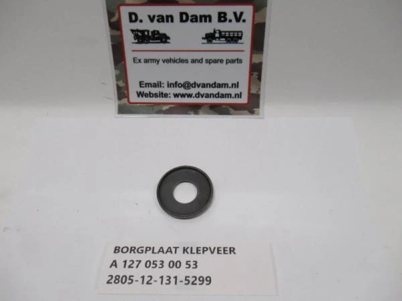 Borgplaat klepveer