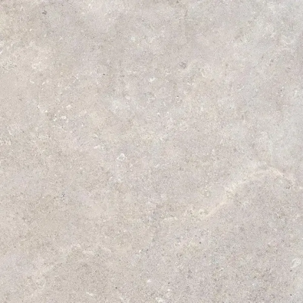 Coquille 10MM Gris mat