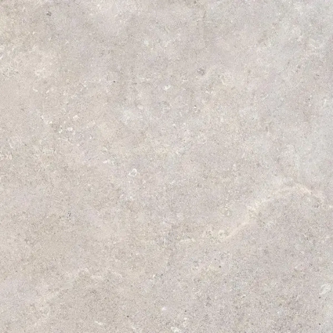 Coquille 10MM Gris mat - 1