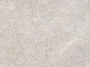 Coquille 10MM Gris mat
