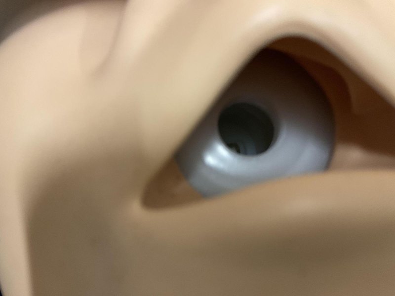 Laerdal Little Anne