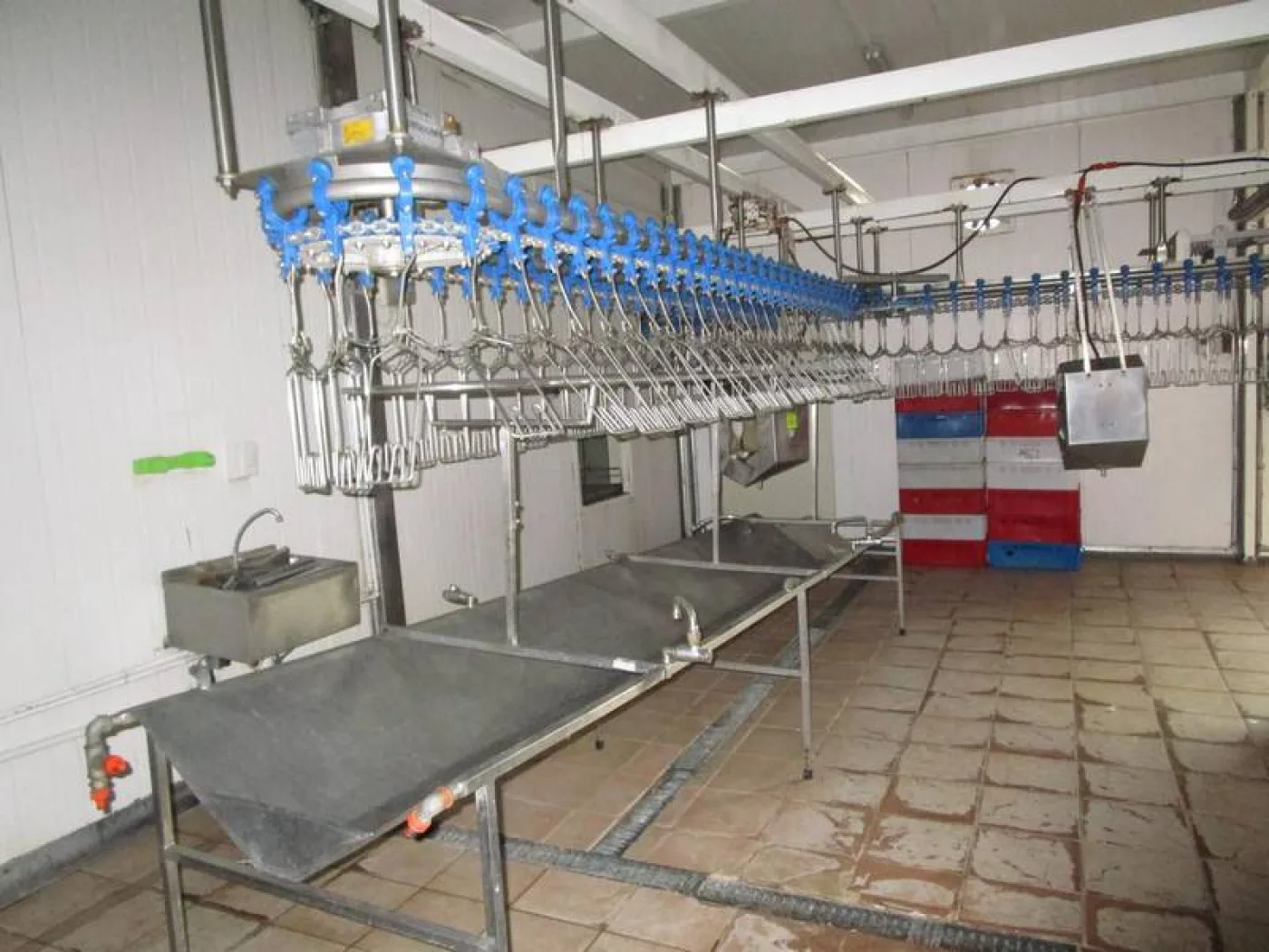 Clean line conveyor for poultry slaughterline - 1