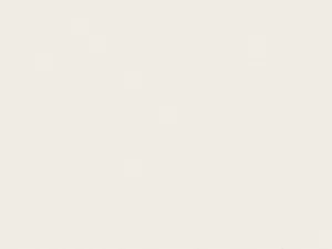 Epoca 10MM Bianco tegel semi mat 120x40 cm